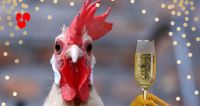 2018-01-07 Haone Nieuwjaarsborrel 01 2018-01-07 Haone Nieuwjaarsborrel 01